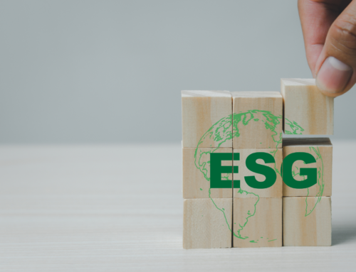 How to create ESG marketing that wins over customers | Drio